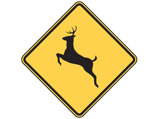 Sign: Deer